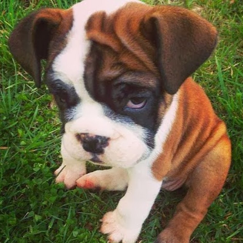 Meet your Posher, Nia